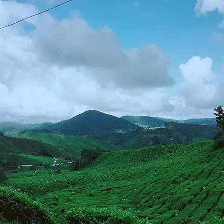 9Pax Bintangcottage Cameronhighlands *星之高原屋* Cameron Highlands Bagian luar foto