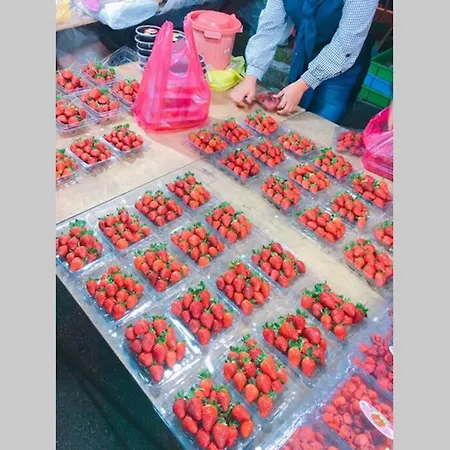 9Pax Bintangcottage Cameronhighlands *星之高原屋* Cameron Highlands Bagian luar foto