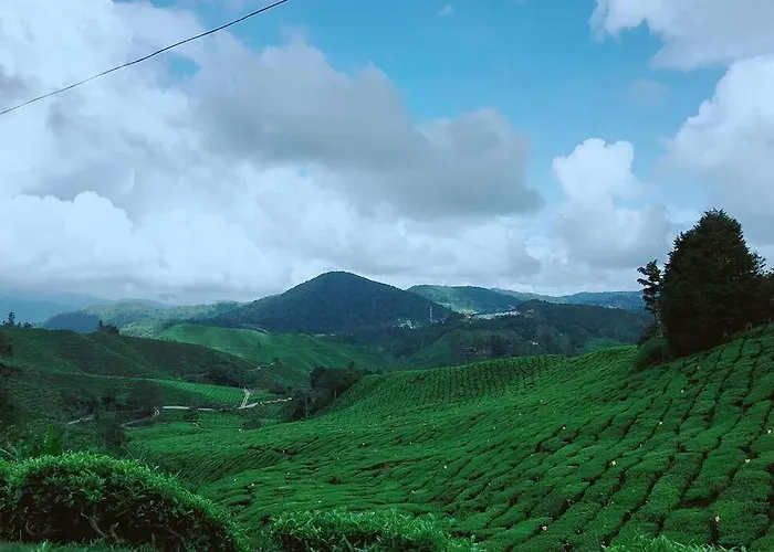 9Pax Bintangcottage Cameronhighlands *星之高原屋*